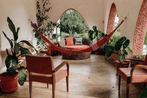 Невибагливі рослини