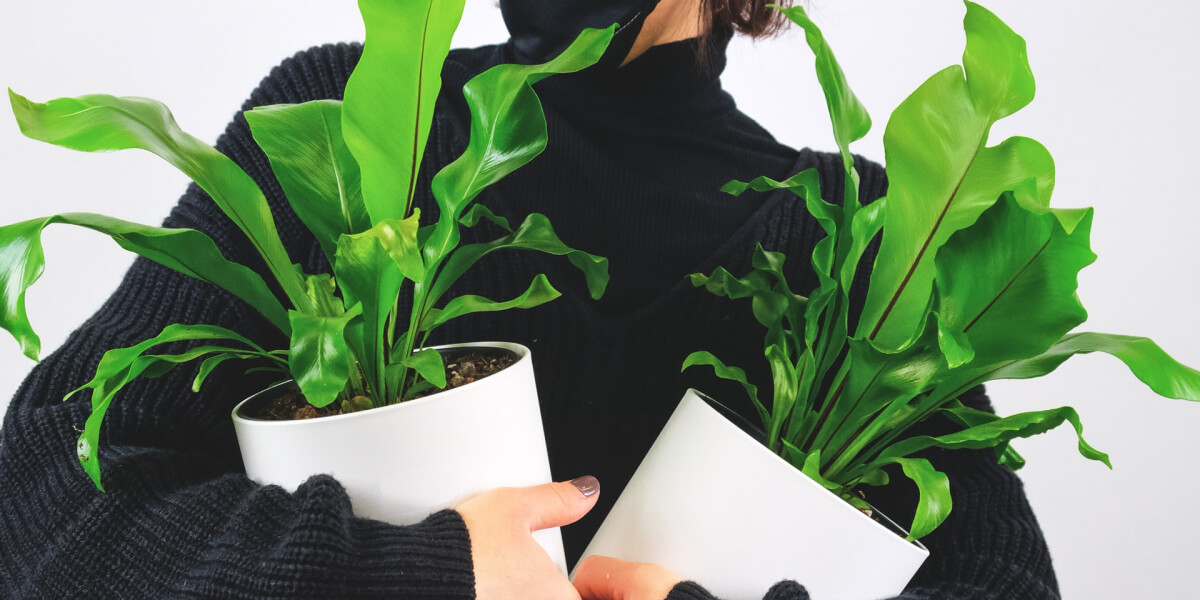 BeGreen для вас