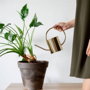 Середній формат